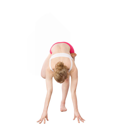 Padangustasana